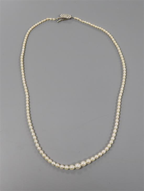 A 1920s single row graduated natural pearl necklace with diamond set clasp, 40cm.